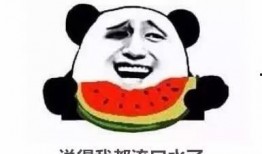 吃瓜林姐沙雕动画免费观看,吃瓜林姐独家免费观看攻略